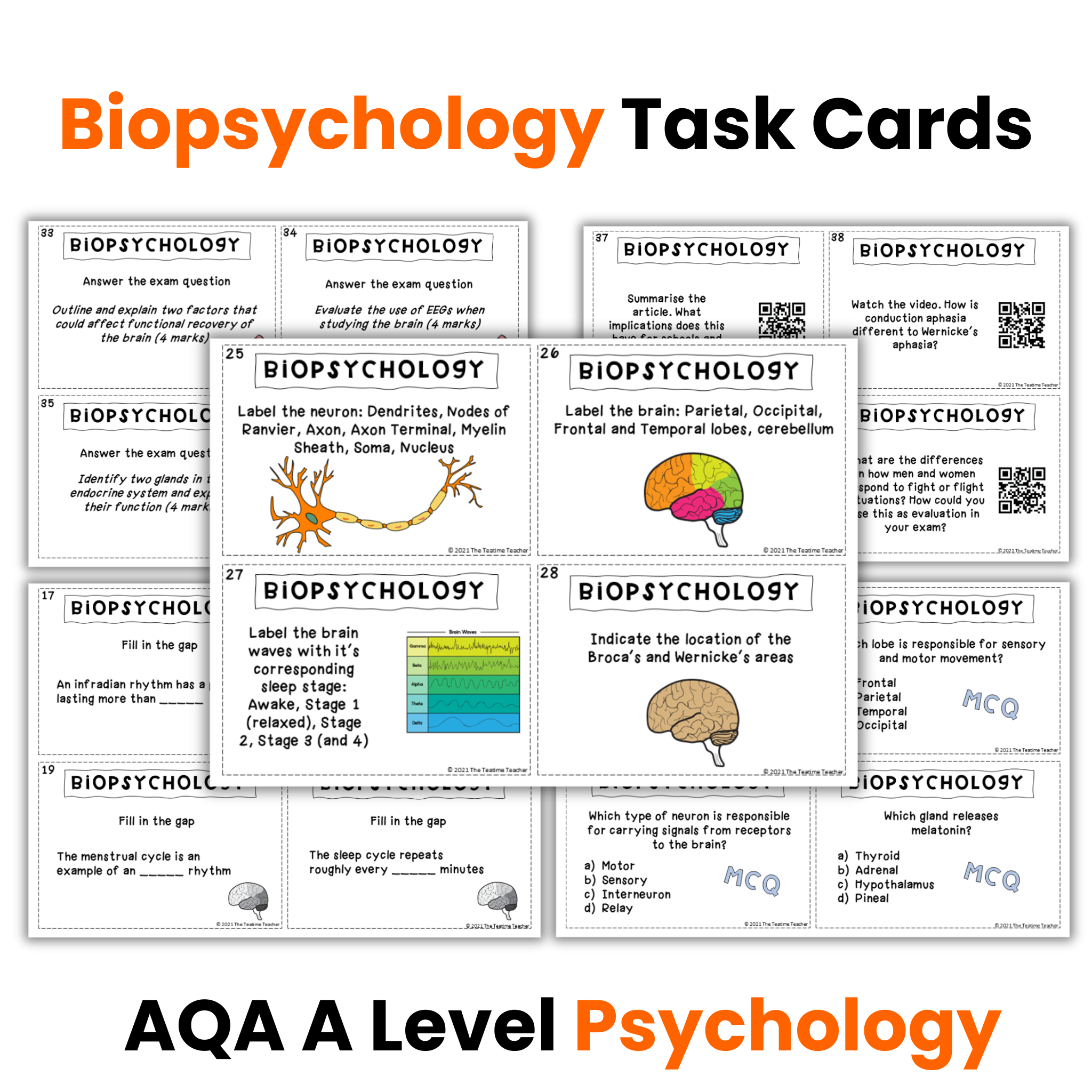 Biopsychology Revision Activity | Task Cards | A Level Psychology (AQA)