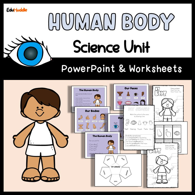 Year 1 Science BUNDLE | Science PowerPoint and Worksheets |