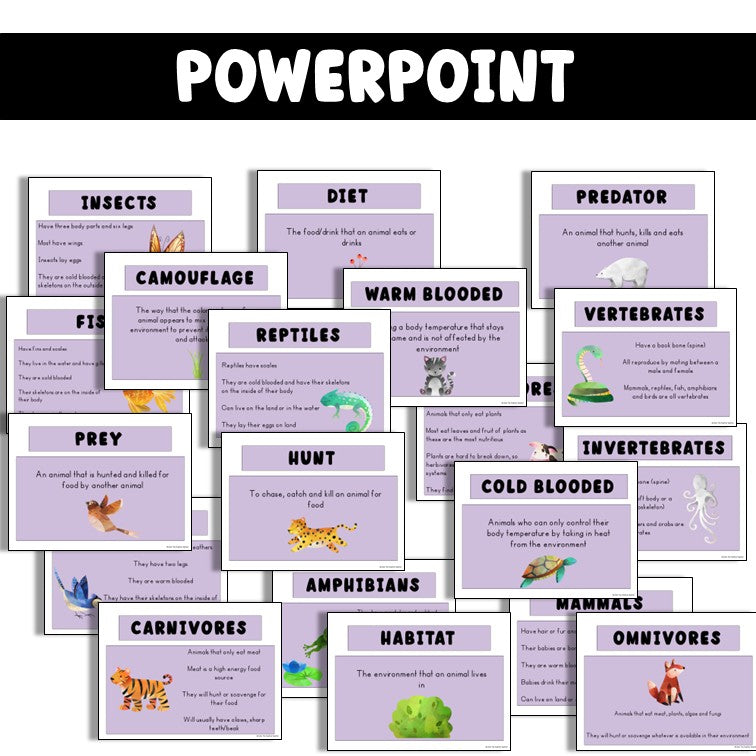 Animals Including Humans | Classifying Animals Lesson Pack | Science PowerPoint and Worksheets | Year 1