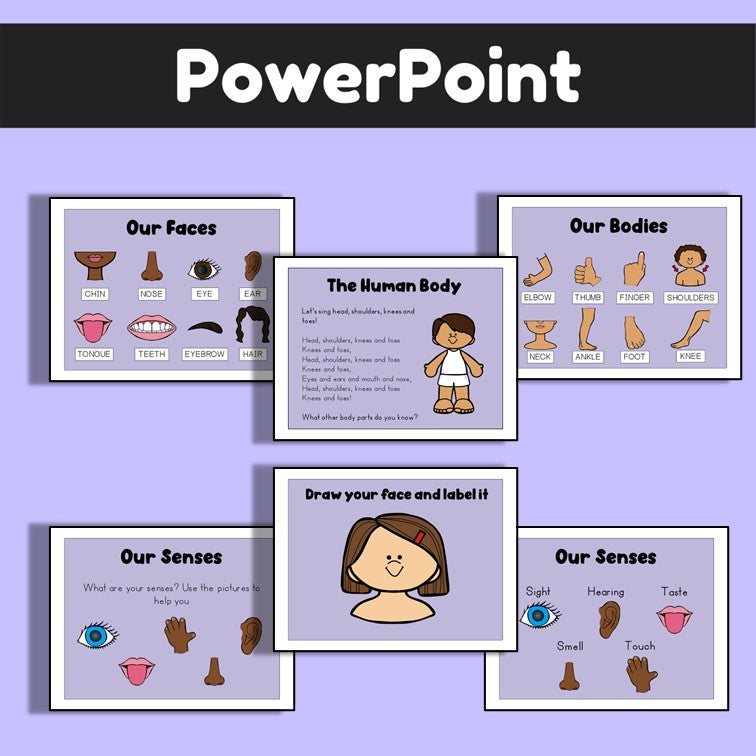 Animals Including Humans | The Human Body Lesson Pack | Science PowerPoint and Worksheets | Year 1