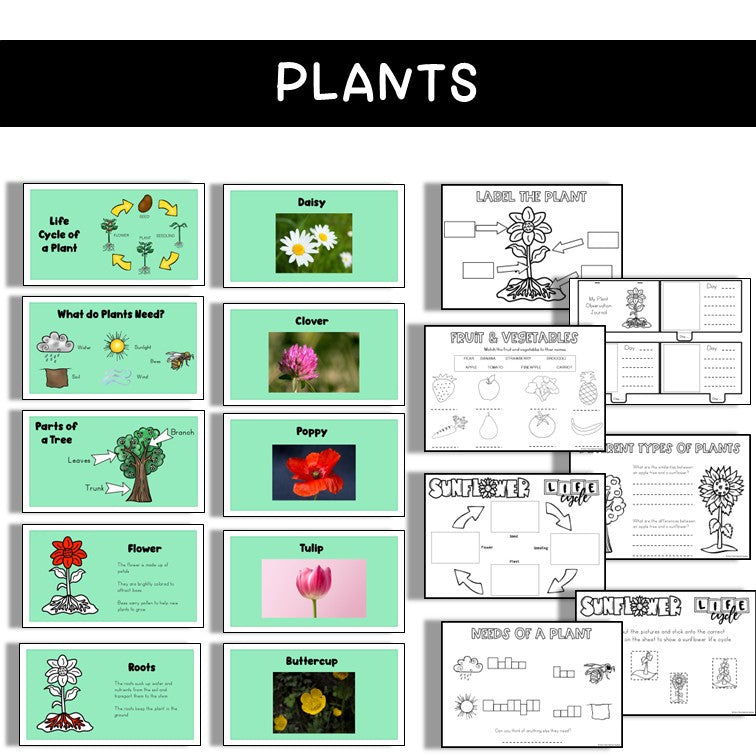 Plants Lesson Pack | Science PowerPoint and Worksheets | Year 1