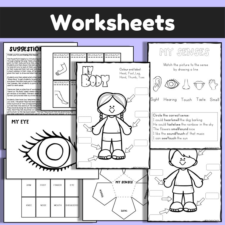 Animals Including Humans | The Human Body Lesson Pack | Science PowerPoint and Worksheets | Year 1