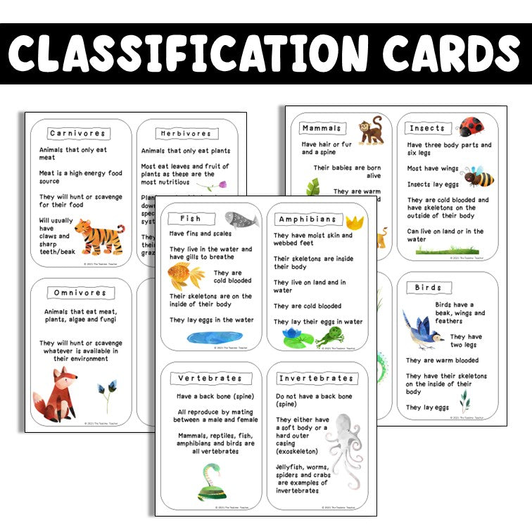 Animals Including Humans | Classifying Animals Lesson Pack | Science PowerPoint and Worksheets | Year 1