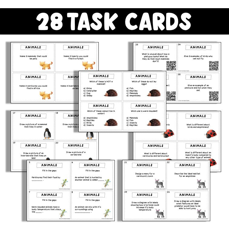 Animals Including Humans | Classifying Animals Lesson Pack | Science PowerPoint and Worksheets | Year 1